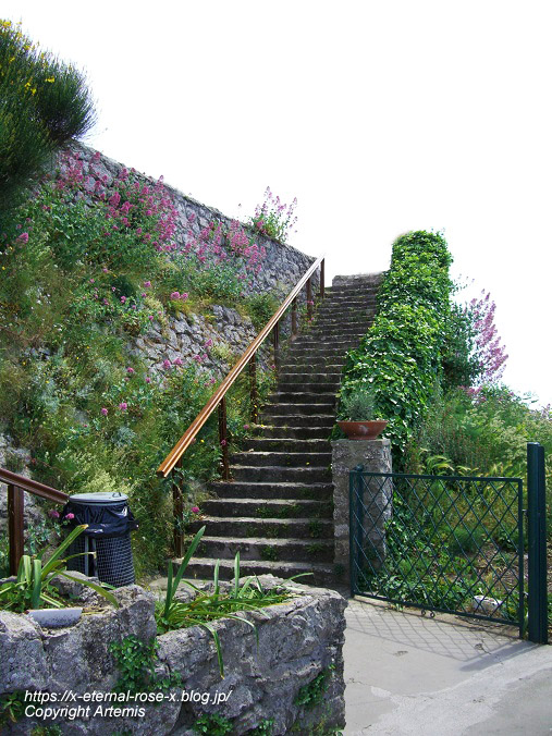 11.5.31.8 モンテソラーロ ソラ―ロ山 展望台  (15)