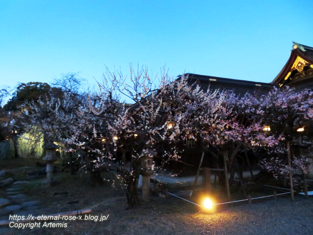 23.3. 北野天満宮 (27)