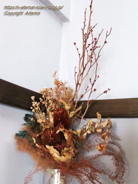 22.2.18 橙  (17)
