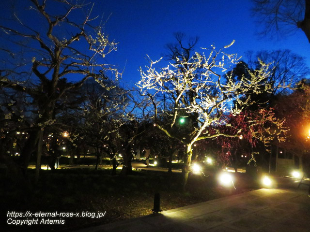 23.3.3. 北野天満宮 (29)