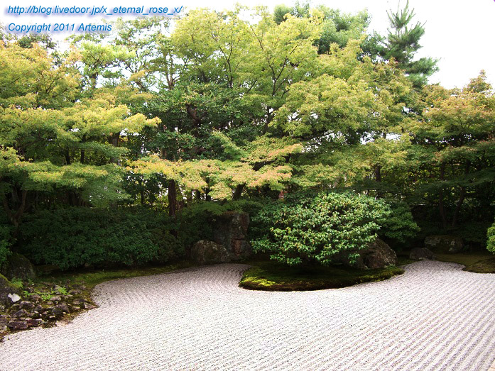 10.10.20.6 圓徳院 (12)