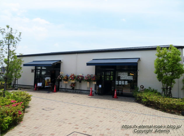 22.5.28 MOBYダイニング　北長瀬店  (1)