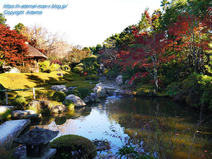 19.11.23.7 妙心寺 退蔵院  (124)