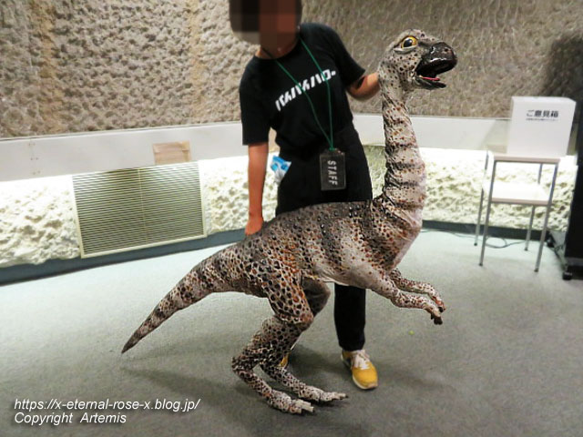 19.8.18.1 恐竜動物園 (151)