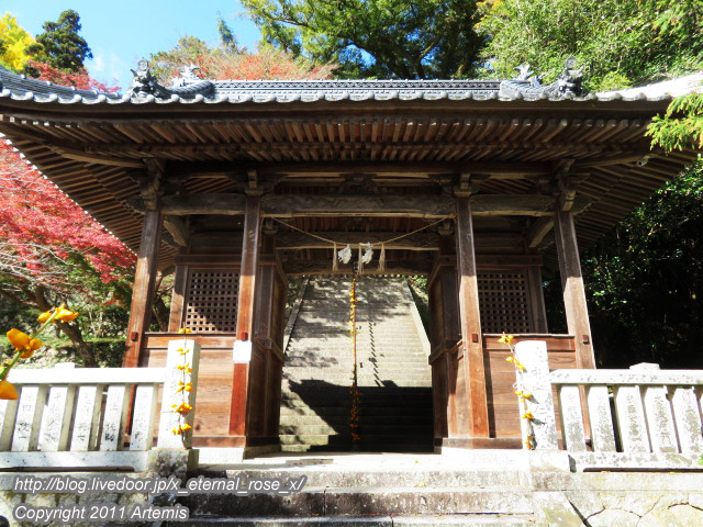 20.11.21.3 備中高梁稲荷神社  (9)