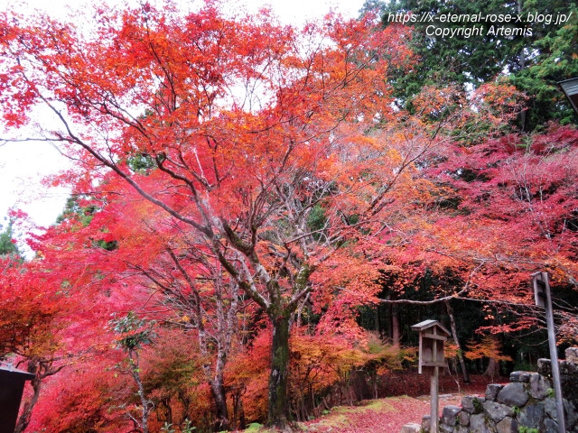 19.11.27 高雄 神護寺 (118)