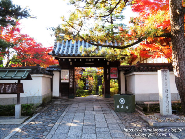 19.11.23.7 妙心寺 退蔵院  (3)