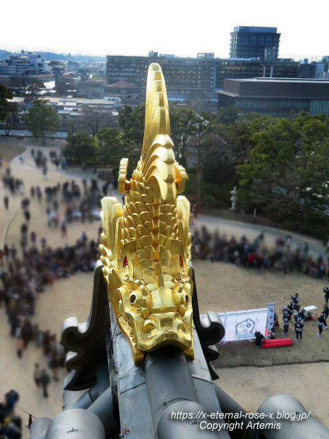 23.1.1.3 岡山城  (34)