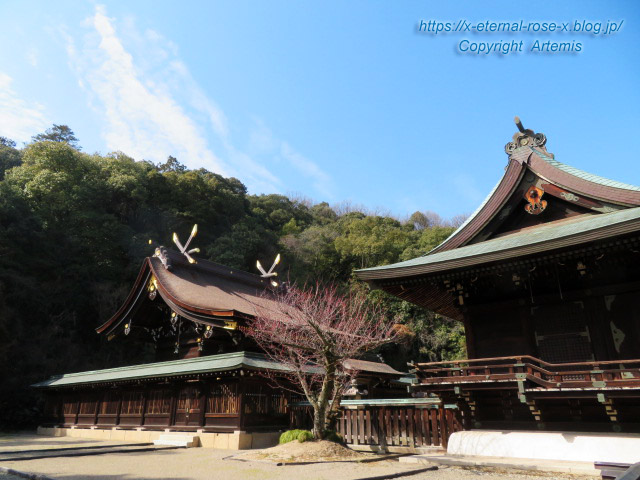 21.2.13.2 吉備津彦神社 (7)