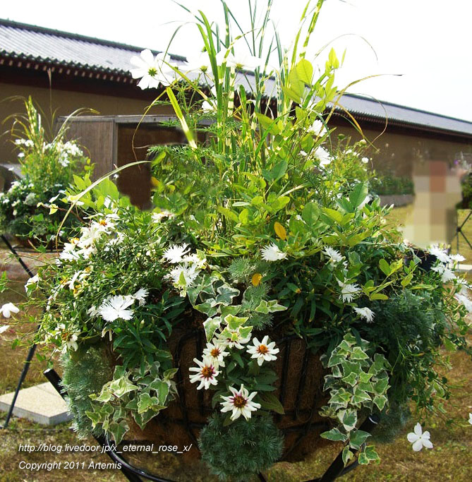 10.10.23.4 東院庭園  (22)