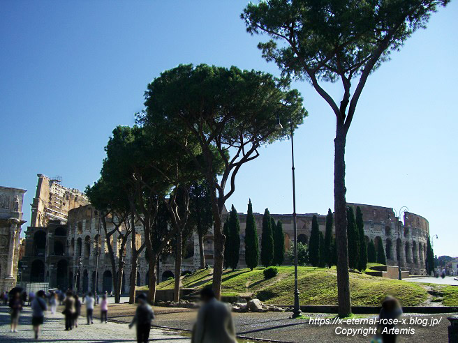 11.5.30.4 コロッセオ  (4)