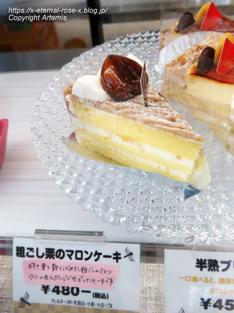 23.3.2.1 甘味とんぼ  (24)