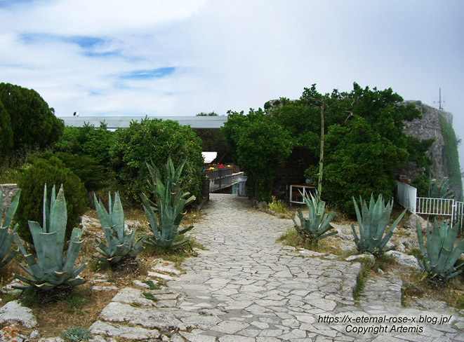 11.5.31.8 モンテソラーロ ソラ―ロ山 展望台  (2)