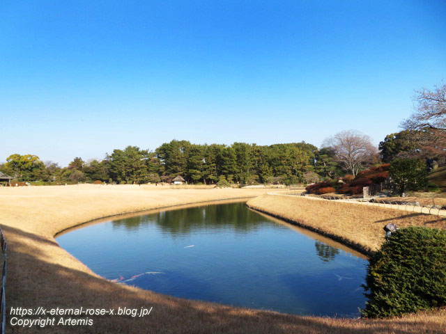 23.1.1 岡山後楽園  (100)
