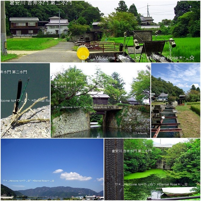写真保留201512
