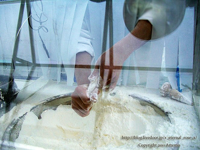 9.11.12.5 明洞  (3)