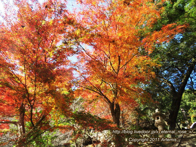 20.11.21.3 備中高梁稲荷神社  (12)