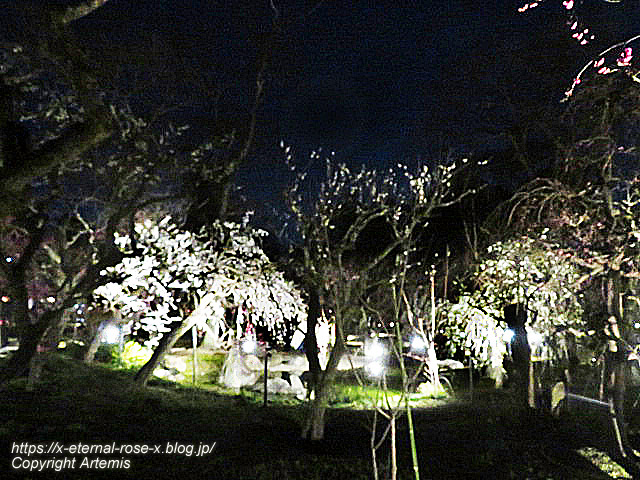 23.3.3. 北野天満宮 (61)