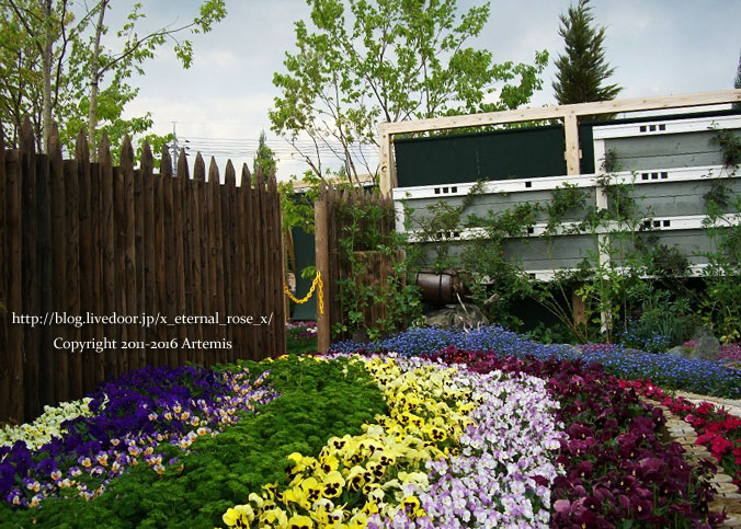 27 おかやま花だより  (3)