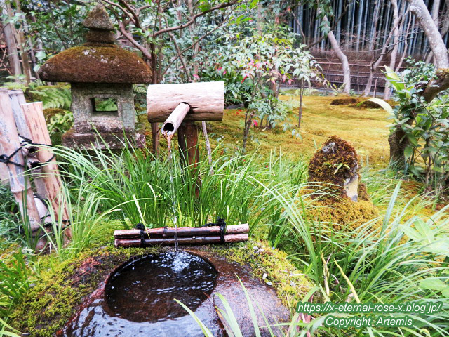 20.3.19.9 祇王寺  (31)