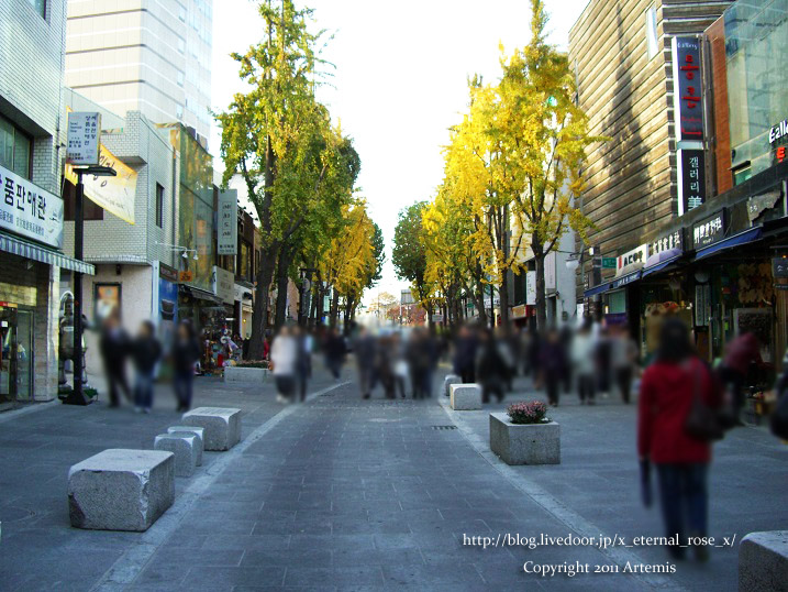 9.11.12.5 明洞  (7)