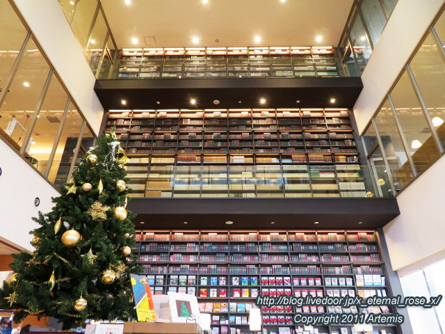 20.11.21.2 高梁市立図書館 (3)