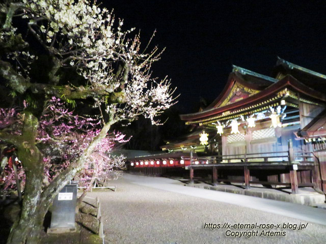 23.3.3. 北野天満宮 (125)