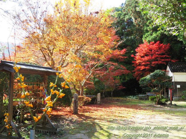 20.11.21.3 備中高梁稲荷神社  (15)
