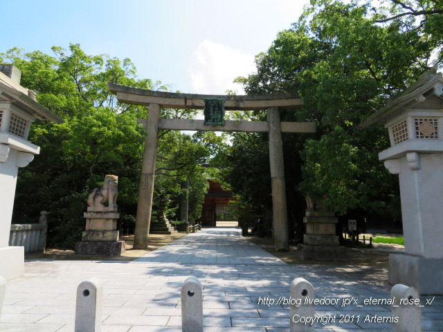 19.9.14.4 伊予國一宮 大山祇神社 (2)