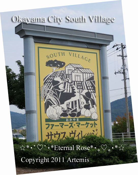 岡山市サウスヴィレッジで花めぐり Eternal Rose エターナルローズ 岡山市サウスヴィレッジで花めぐり Eternal Rose エターナルローズ