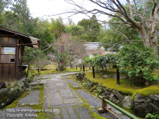 20.3.19.8. 檀林寺 (6)