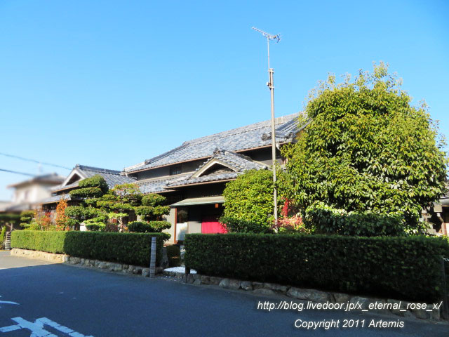 古民家珈琲 大多羅庵 ボリュームたっぷり 広島産カキフライ Eternal Rose エターナルローズ