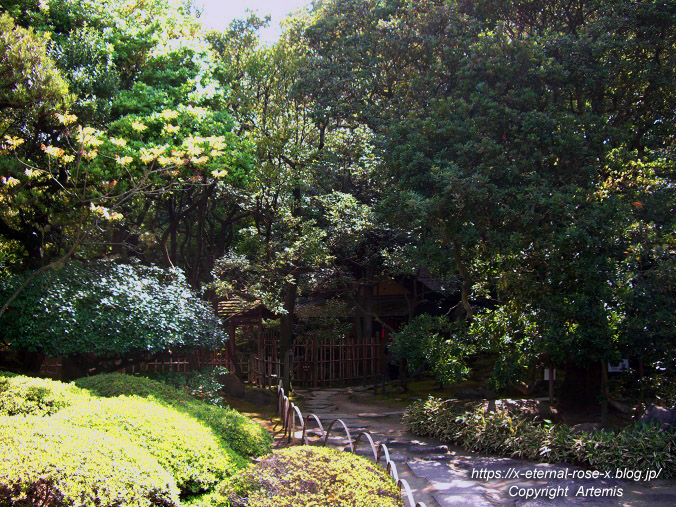 11.5.5.3 旧野﨑家住宅 野﨑家塩業歴史館 (24)
