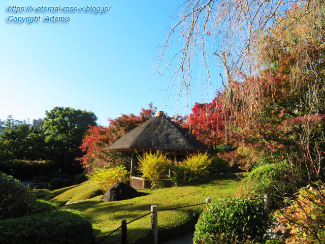 19.11.23.7 妙心寺 退蔵院  (52)