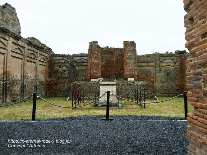 11.6.1.5.... ポンペイ遺跡 ヴェスパシアノ神殿 (41)