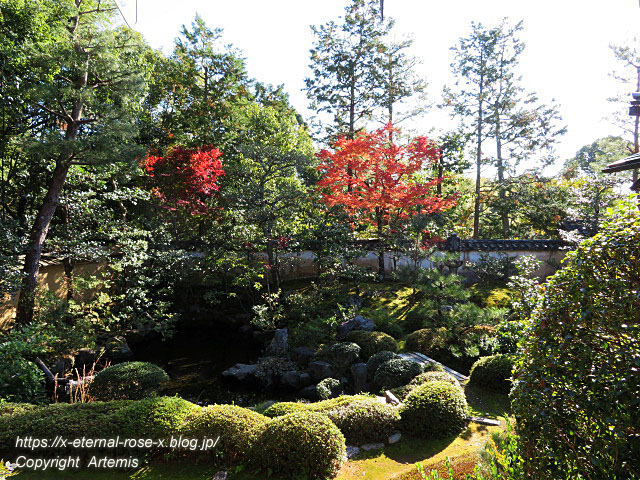 19.11.23.4 大雄院 (28)