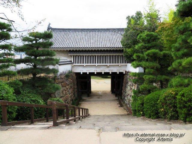 20.10.11.3 岡山城  (31)