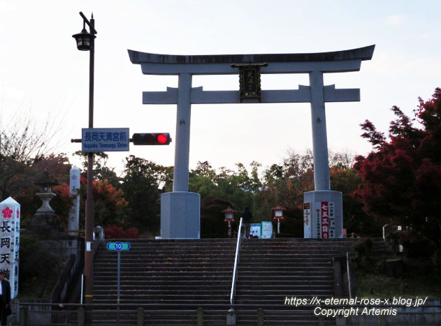 19.11.26.4 長岡天神 (2)