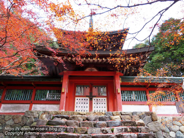 19.11.27 高雄 神護寺  (115)