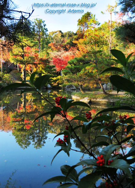 19.11.23.9 法金剛院 (29)