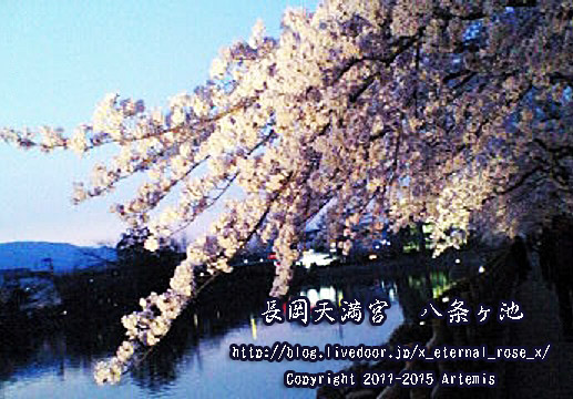 1 長岡天満宮 (3)