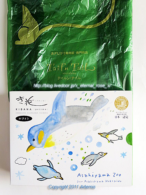 18.11.22.14 旭山動物園 (13)