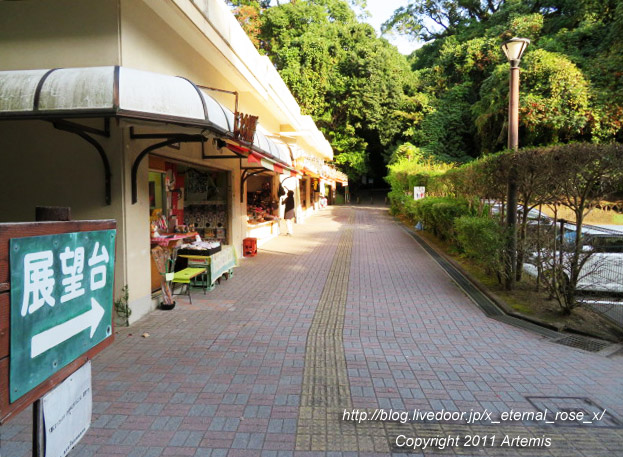 20.10.31.8 城山公園展望台  (22)