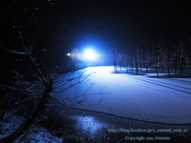 18.11.21.9 青い池  (15)