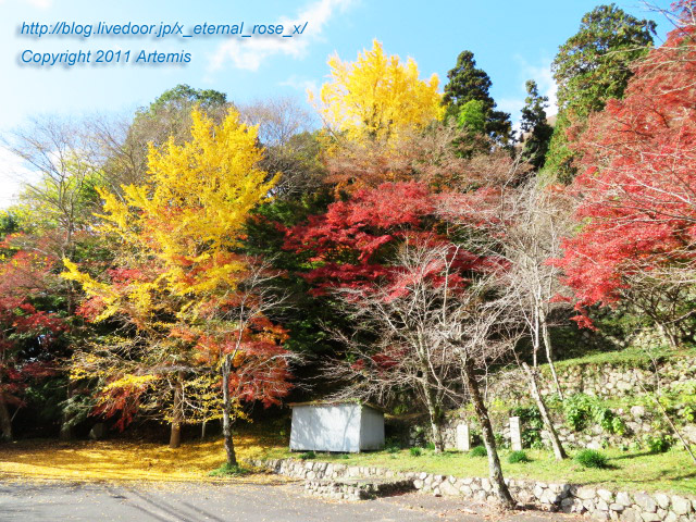 20.11.21.3 備中高梁稲荷神社  (1)