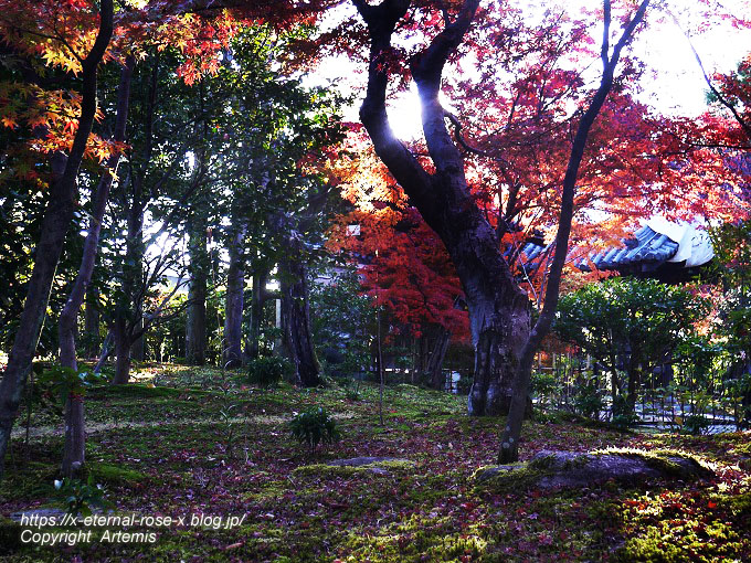 19.11.23.9 法金剛院 (98)