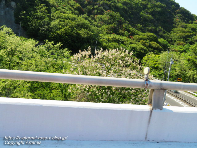 22.5.3.7 ループ橋 (6)