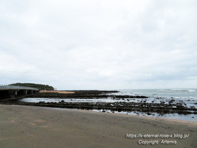 20.11.1.1 青島  (22)