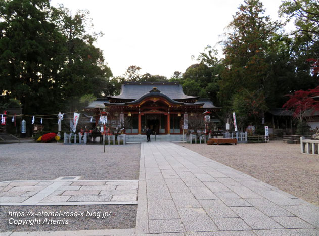 19.11.26.4 長岡天神 (48)