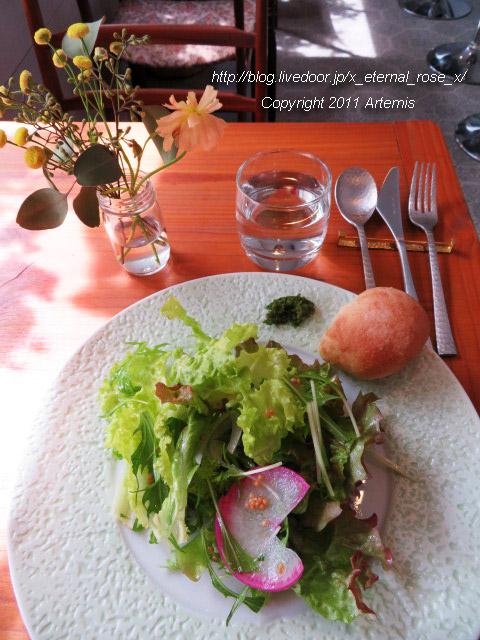 20.2.28 クロワズモン  (16)